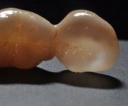 zirconia-prettau-colorato-4